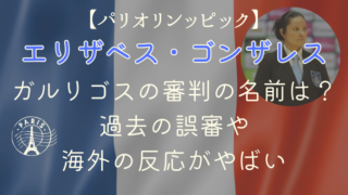 柔道ガルリゴスの審判の名前は？過去の誤審や海外の反応がやばい