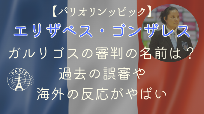 柔道ガルリゴスの審判の名前は？過去の誤審や海外の反応がやばい