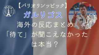 柔道ガルリゴスに対する海外の反応！「待て」が聞こえなかったは本当？