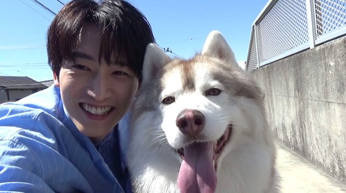 杉野遥亮と犬